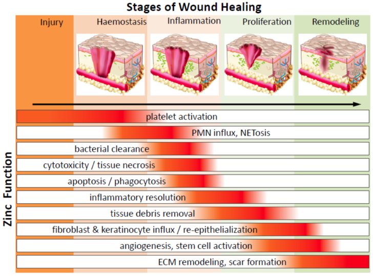 ER Diagram For Faculty Management System