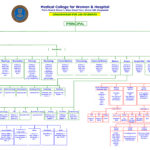 Organogram Medical College For Women Hospital