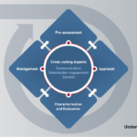 Risk Governance Framework IRGC EPFL