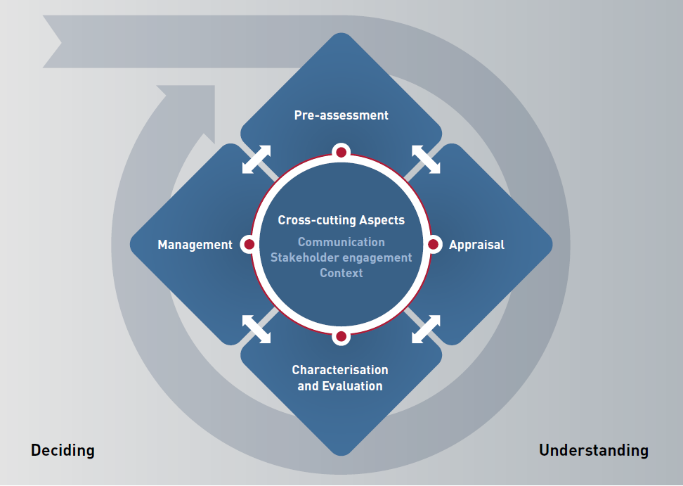 Risk Governance Framework IRGC EPFL