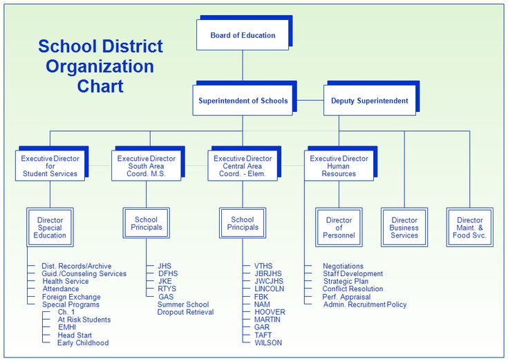 School District Organization Chart Chart School 