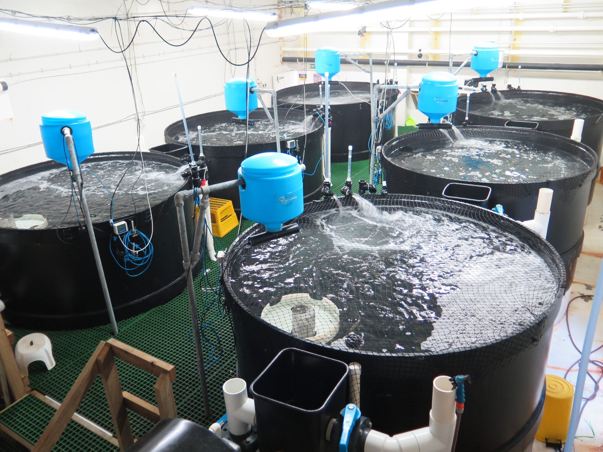 Technical Workshop Recirculating Aquaculture Systems 