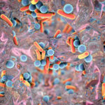 The Threat Of Antibiotic Resistant Bacteria Pilot Chemical