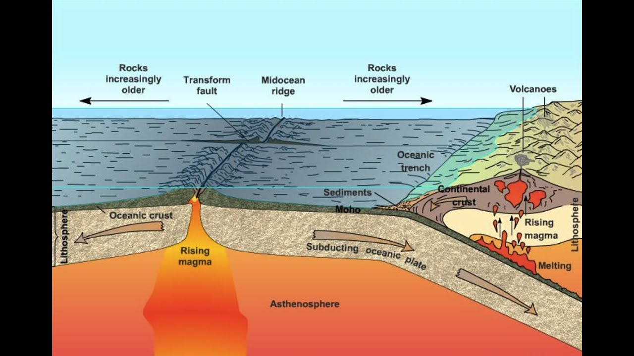 This Process Called Plate Tectonics Royals Parody YouTube