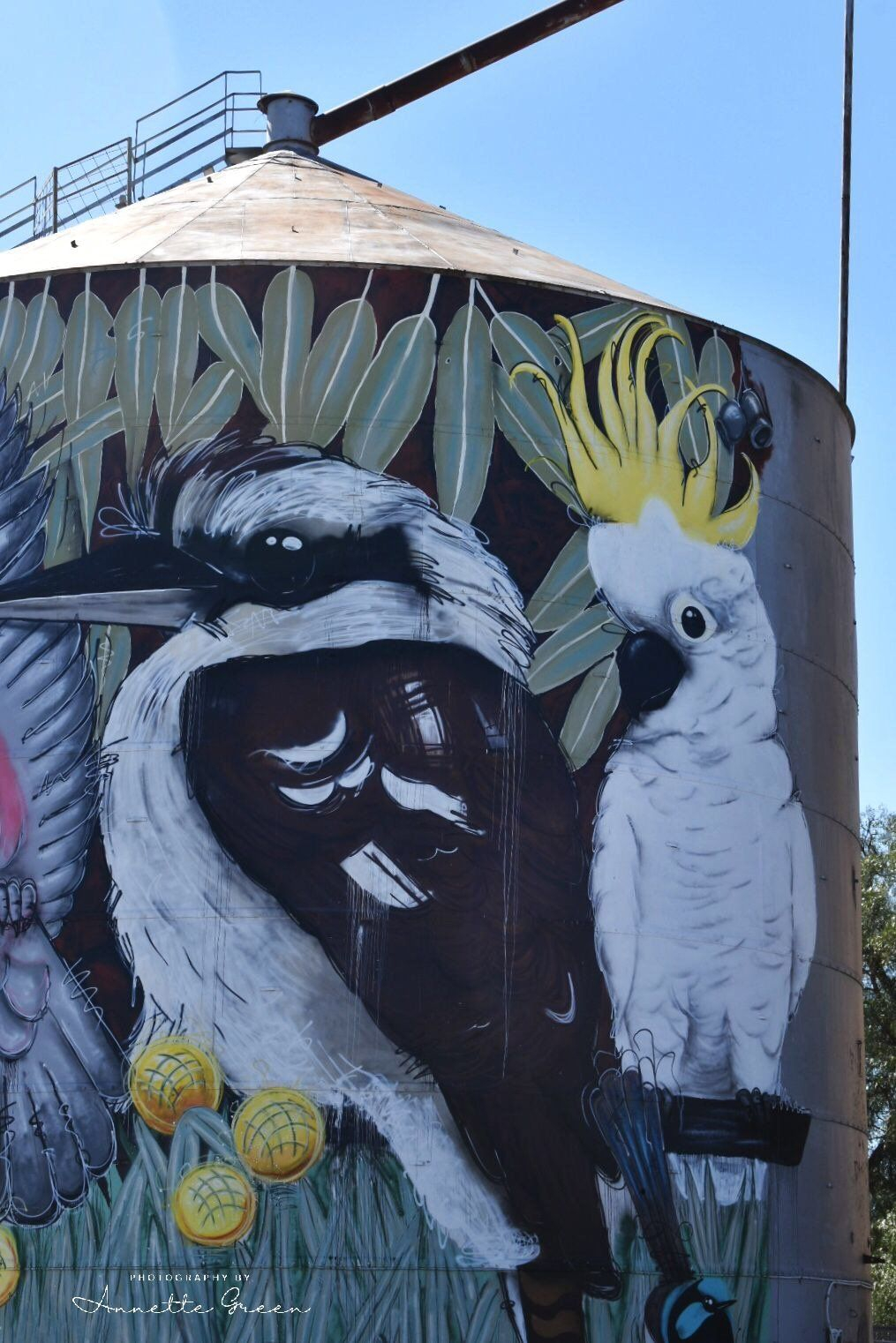 Tungamah Silo Art