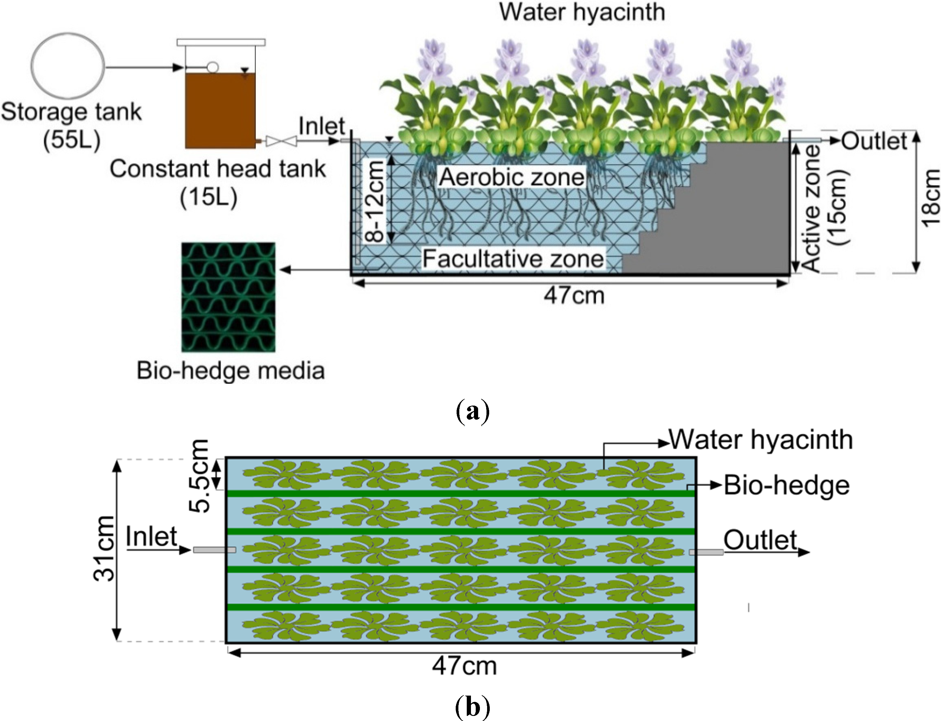 Water Free Full Text Effectiveness Of Domestic 