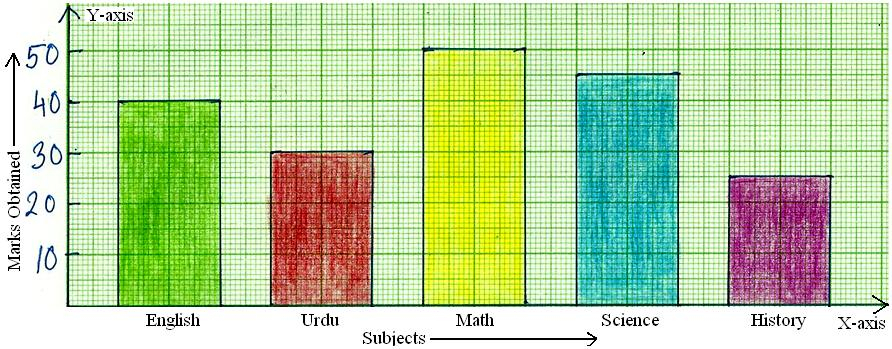 Worksheet On Bar Graph Bar Graph Home Work Different 