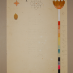 3941 Drawing Of A Lotus Wand By Steffi Grant Museum Of