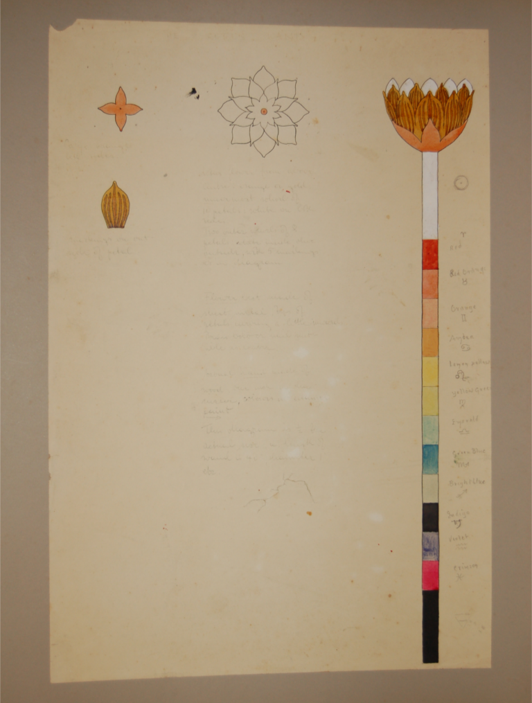 3941 Drawing Of A Lotus Wand By Steffi Grant Museum Of 