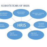 A HRIS Which Is Also Known As A Human Resource