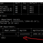 Basic MySQL Commands TestingDocs