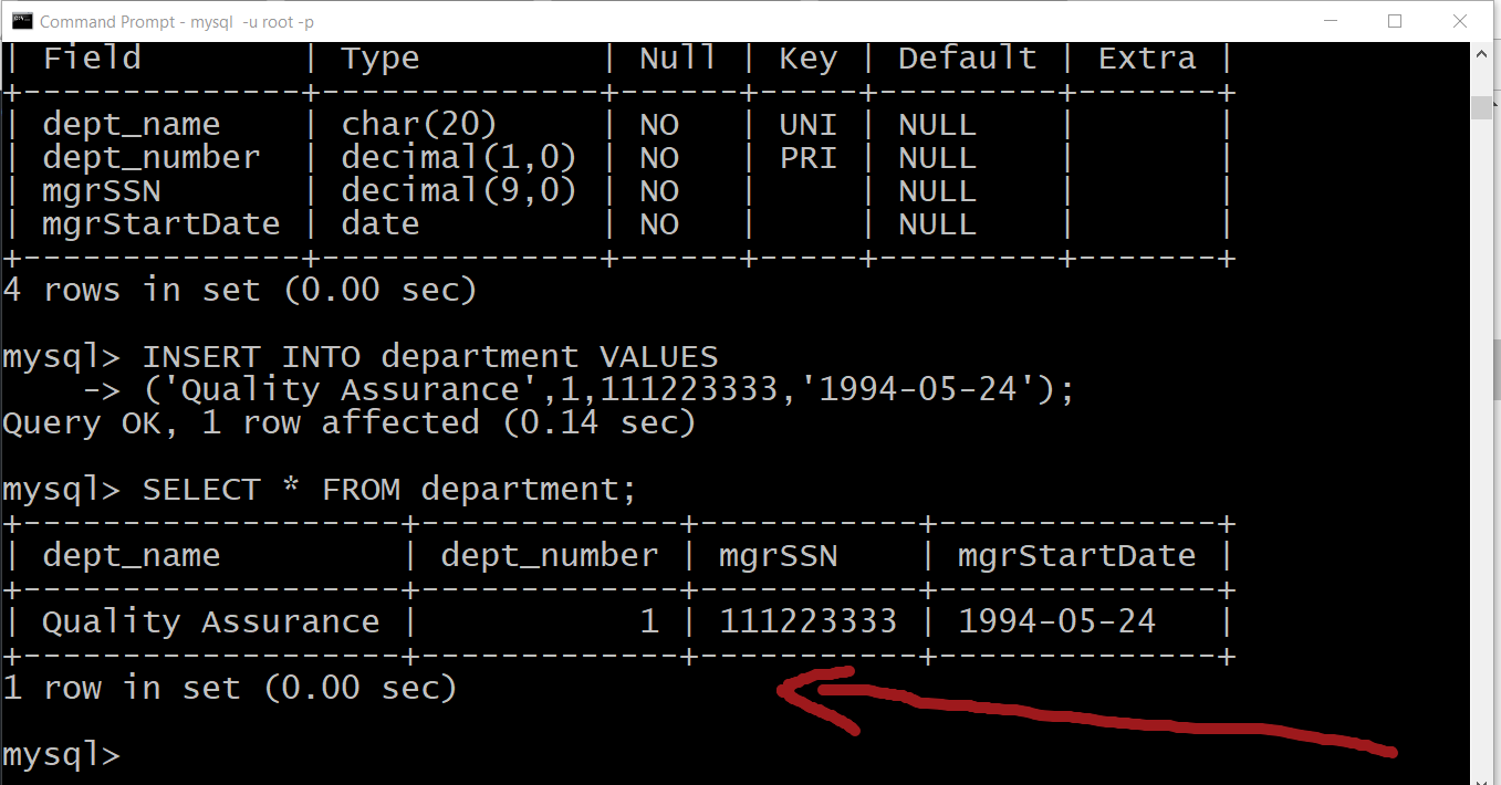 Basic MySQL Commands TestingDocs