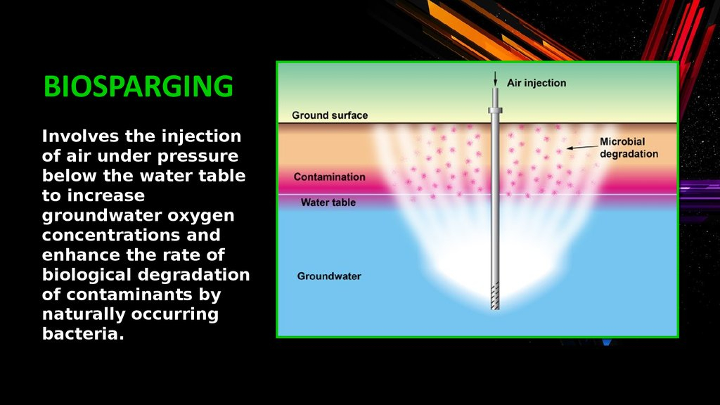 Bioremediation 