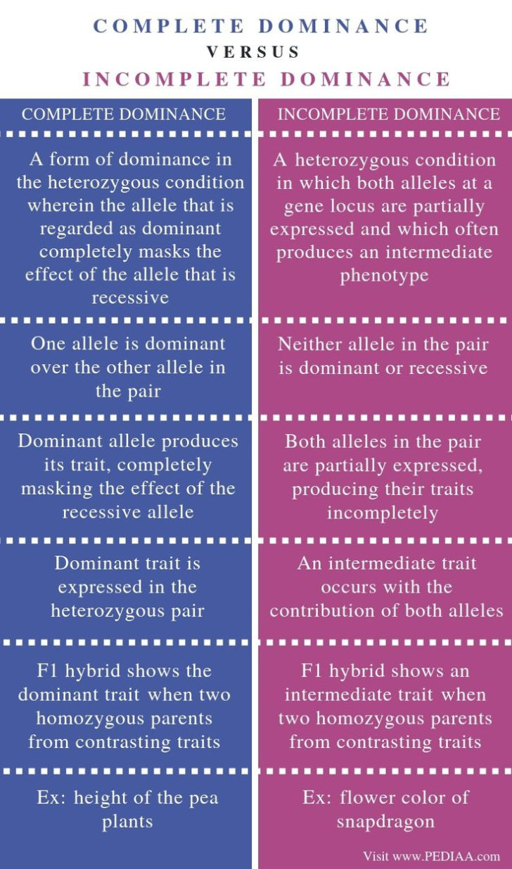 DiffERence Between ER And EER Diagram