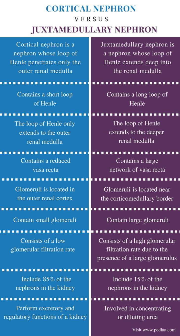 DiffERence Between Dfd And ER Diagram