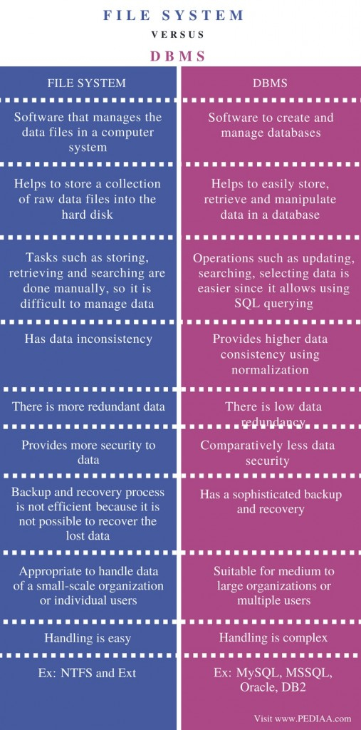 Difference Between File System And DBMS In Tabular Form 