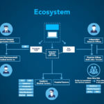 Ecosystem Mapping Designing Experiences For Complex