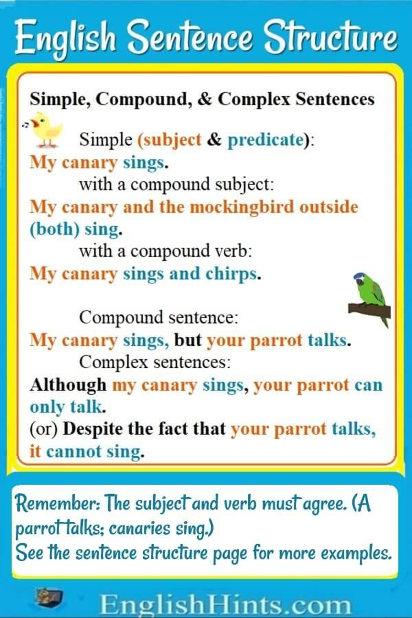 English Sentence Structure English Sentence Structure 