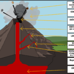 Etiqueta Las Partes De Una Actividad De Volc N
