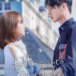 Falling Into Your Smile TV Series 2021 2021 The Movie