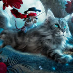 Fantasy Cat Cats Art Artwork Artistic Wallpapers HD