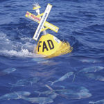 Fish Aggregating Device And Mahi Mahi Flickr Photo