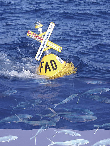 Fish Aggregating Device And Mahi Mahi Flickr Photo 