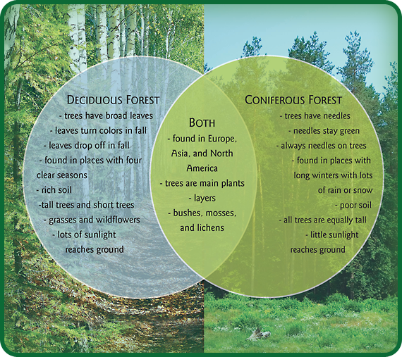 Forest Habitats PowerKnowledge Life Science