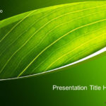 Free Green Nature PPT Template