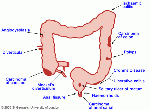 Appointment ER Diagram