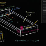 Gel Electrophoresis Biomolecules MCAT Khan Academy