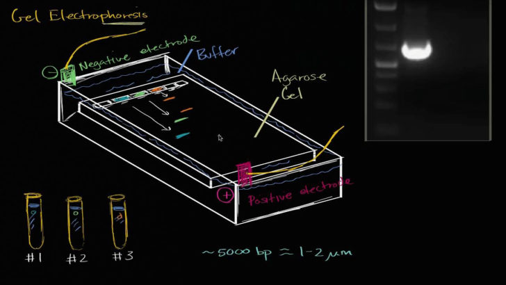 Draw ER Diagram For The Following Scenario