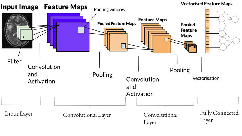 GlioAI Automatic Brain Tumor Detection System Devpost