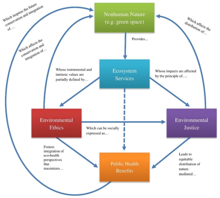 ER Diagram For Sports Club Management System