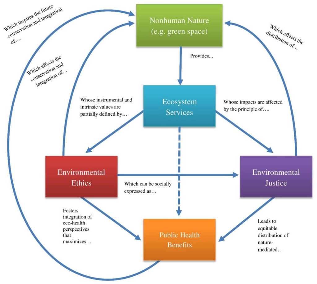 Healthcare Special Issue Ethics Health And Natural 