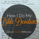 How I Do My Bible Devotions A Proverbs Wife