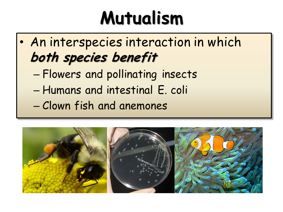 Interactions Making A Living In The Ecosystem 