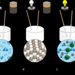 Ionic Bonding Diagram UNTPIKAPPS