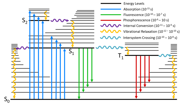 ER Diagram Multiplicity