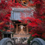 Japanese Photographer Yin Ying Captured Four Seasons In Kyoto