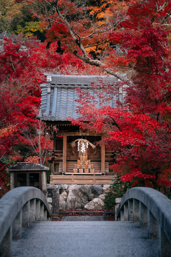 Japanese Photographer Yin Ying Captured Four Seasons In Kyoto