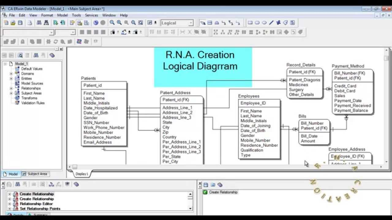 Logical Model Hospital System Erwin Data Modeler YouTube