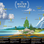 Matter And Energy Cycles Modeling National Geographic