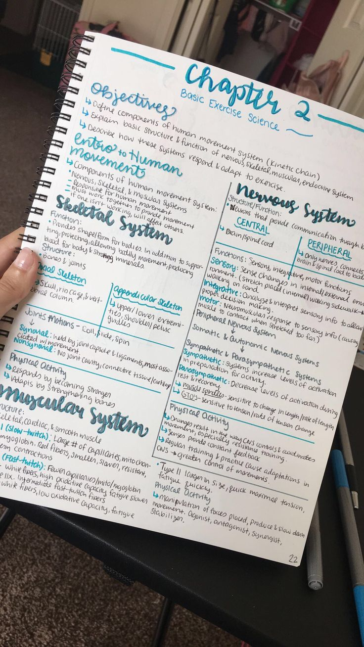 Notes Calligraphy Psychology Fun Facts Endocrine System 