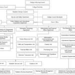 Organizational Flowchart