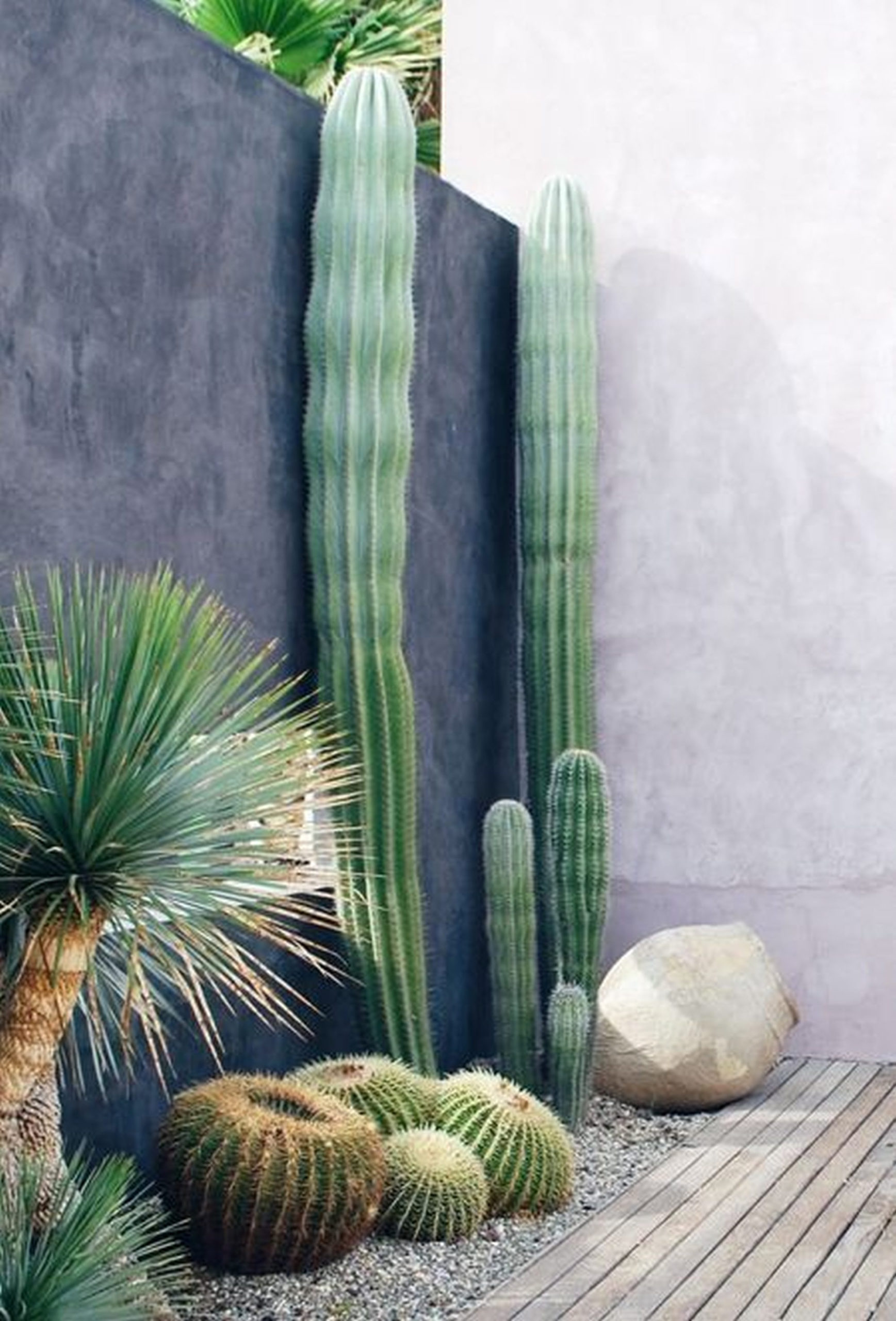 Outdoor Cactus Garden Ideas For The Best Looking Landscape