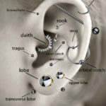Pin By ARAM On Piercing Cool Ear Piercings Ear Piercing