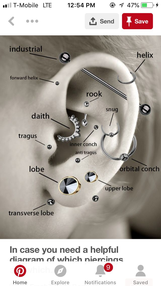 Pin By ARAM On Piercing Cool Ear Piercings Ear Piercing 