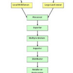 Premium Coffee Market Segmentation DolceraWiki