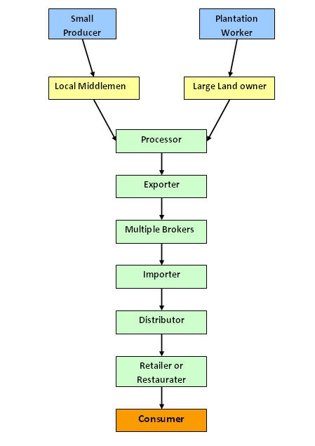 Premium Coffee Market Segmentation DolceraWiki